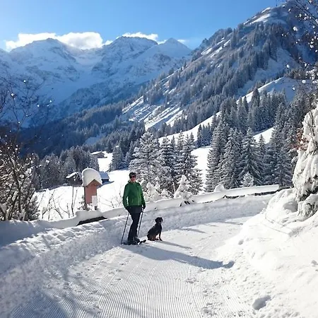 Apartament Appartments Haus Monika *